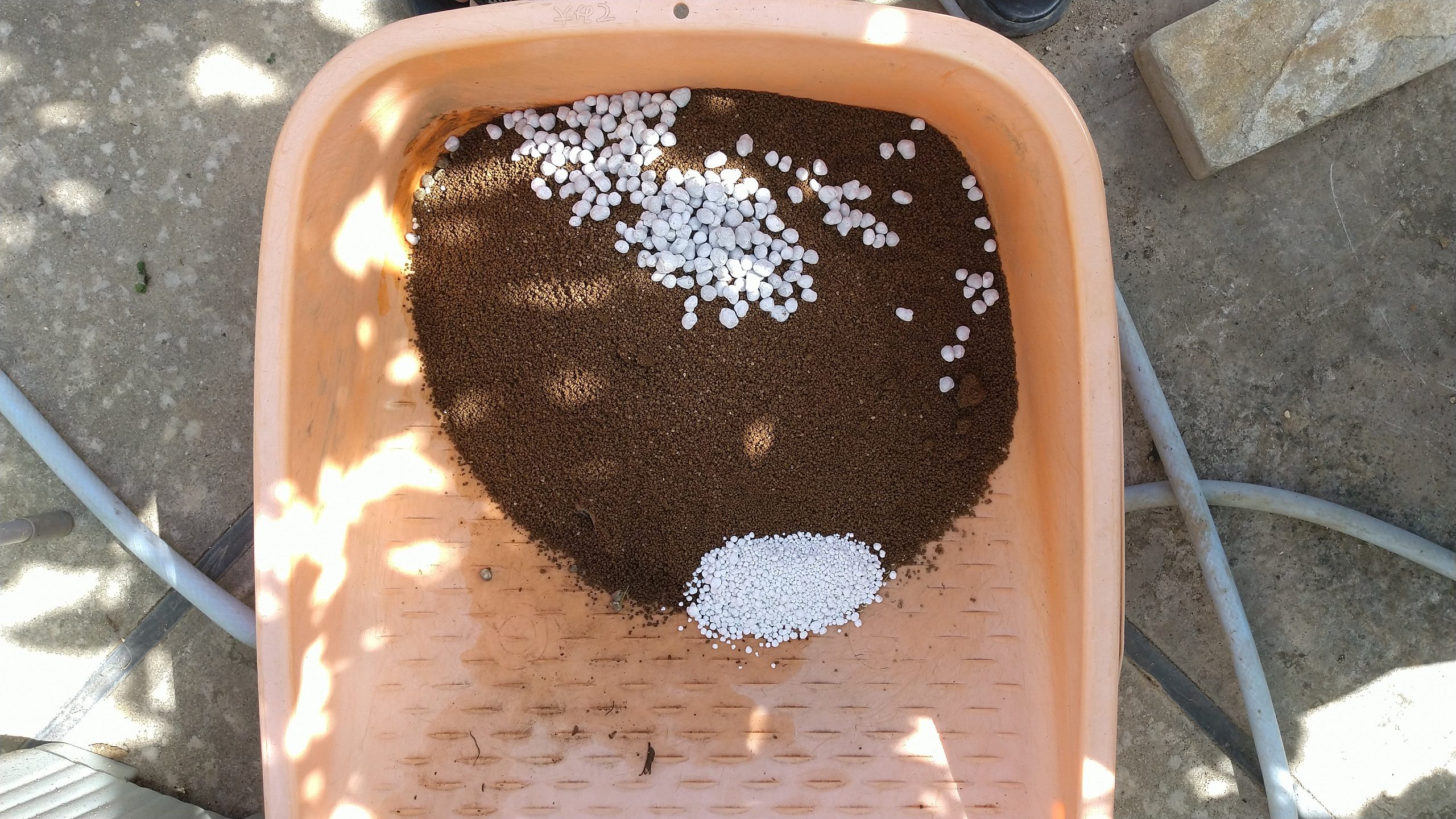 スイレン-植え替え-用土